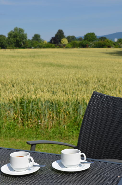 Landhotel Sulzbacher Hof Sulzbach  Exteriör bild